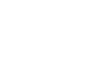Logo DB